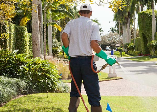 About Liberty ME Pest Control